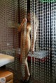 A naked woman standing in front of a curtain.