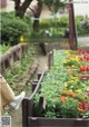 A person sitting on a bench in a flower garden.